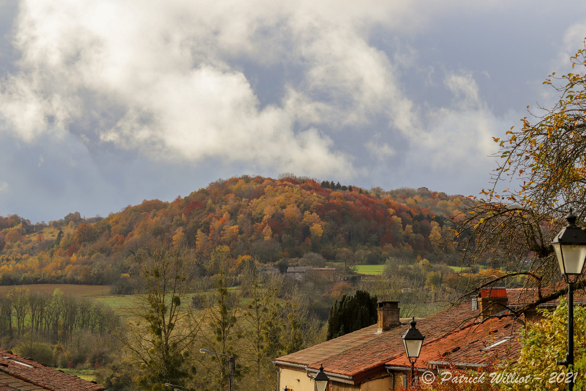 Torgny
